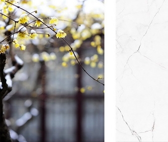 香蕉软件在线下载鑒賞丨耐人尋味的美感，總是“瓷”簡意賅